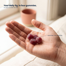 Creatine Gummies